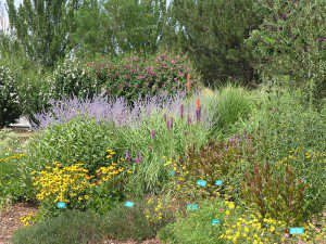 Utah conservation garden