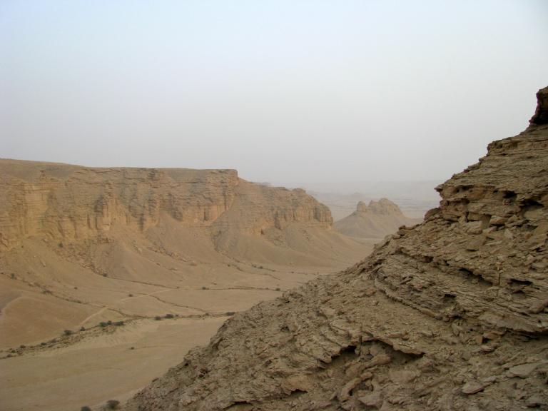 A lush Saudi Arabian landscape