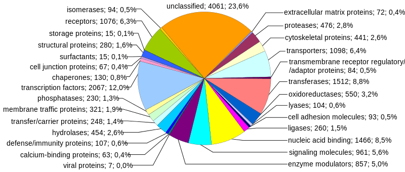 Functions of the human genome