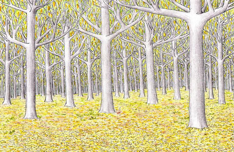 An artist's conception of Lothlorien