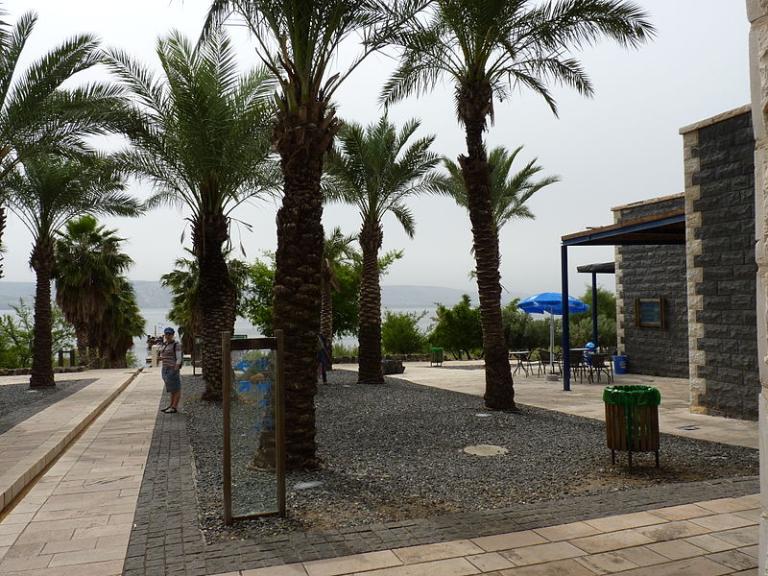Capernaum's Israeli National Park