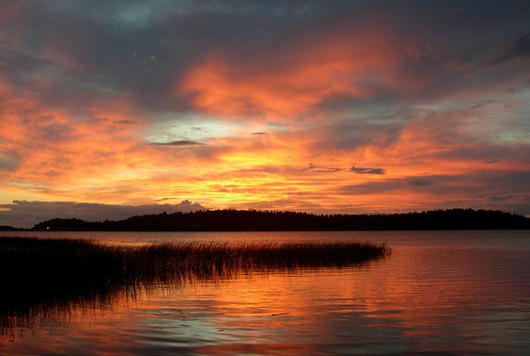 Swedish summer evening