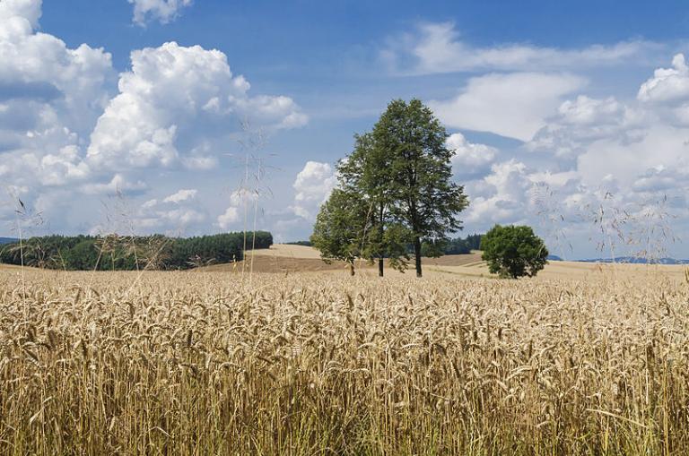 A scene in Poland