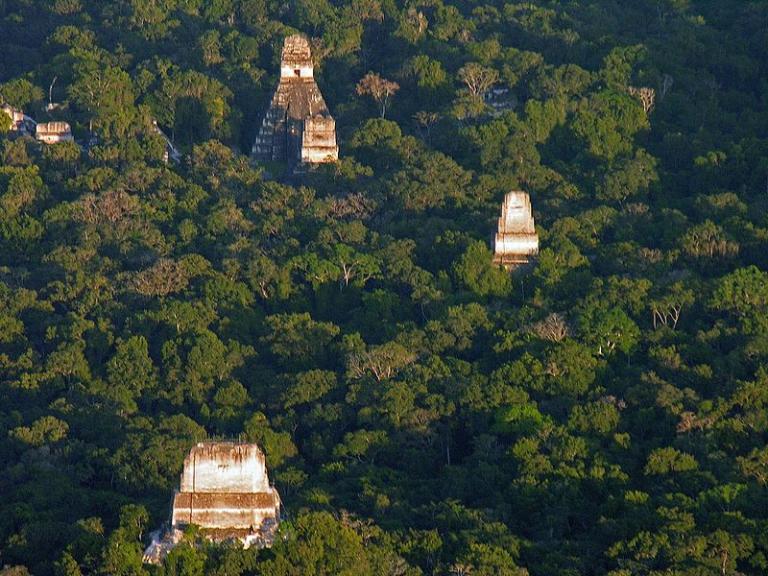 Tikal from the air
