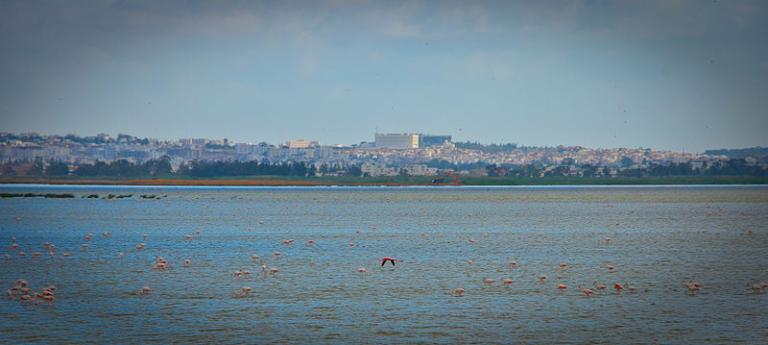 Tunis, Tunisia