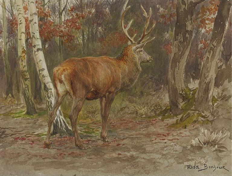 A stag, by Rosa Bonheur
