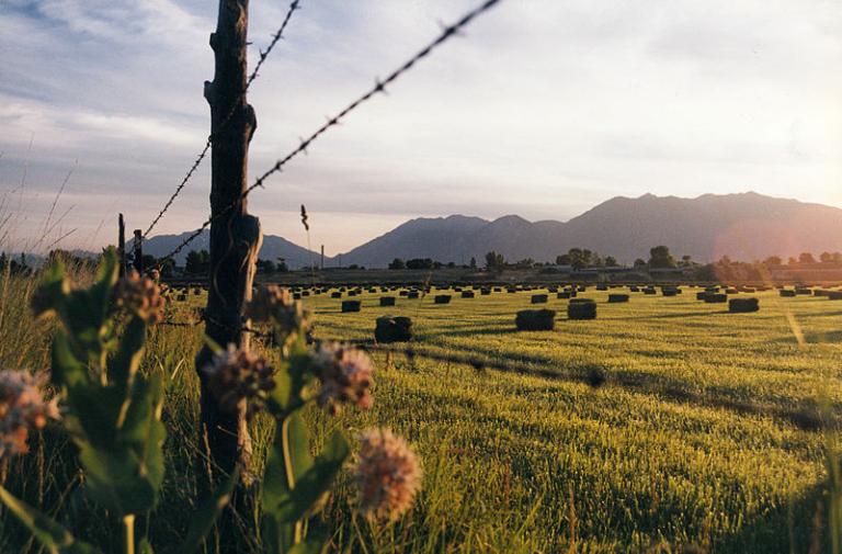 Rural Utah County