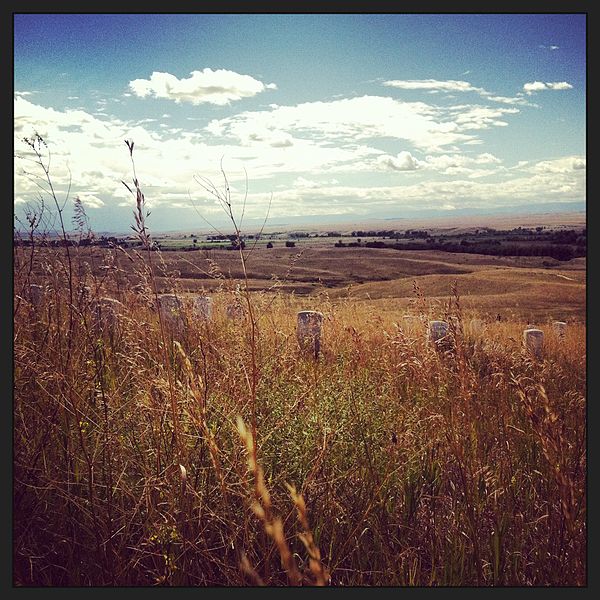 in the Bighorn Basin