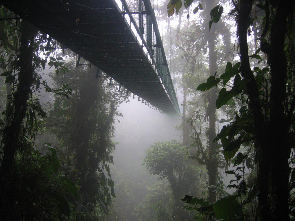 Going into murky but fascinating territory.