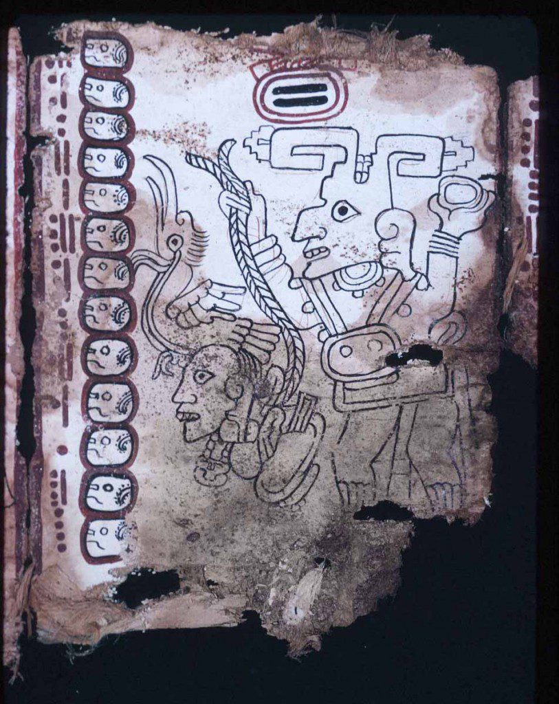 Venus in Maya guise