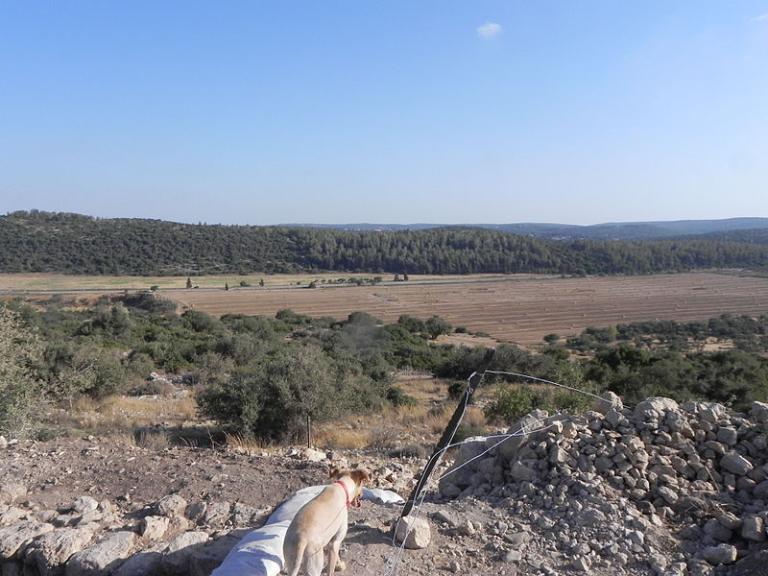 Elah today, by Yoav Dothan