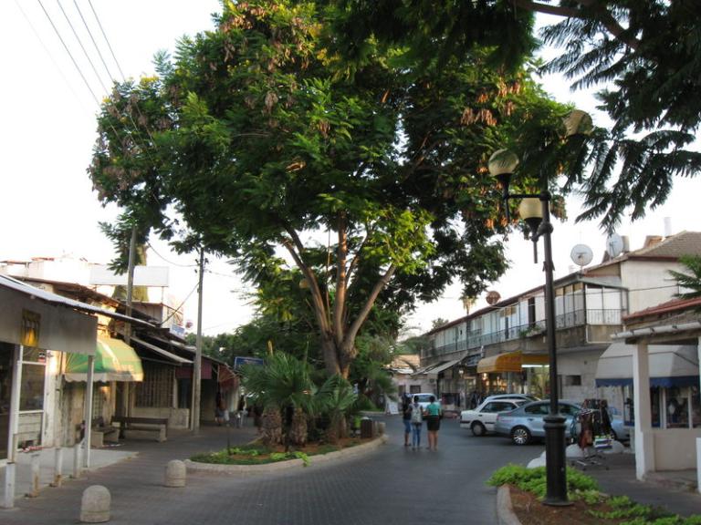 A scene in Yehud, Israel