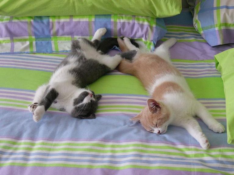 They don't seem to be worried.