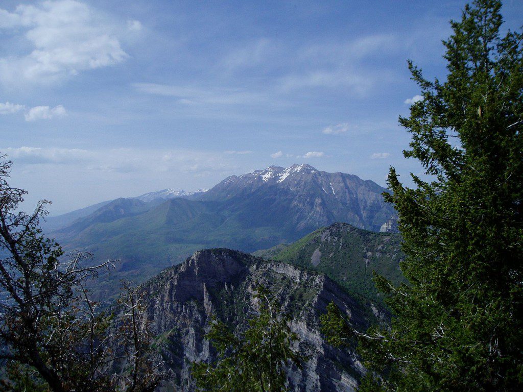 In the Wasatch Mountains