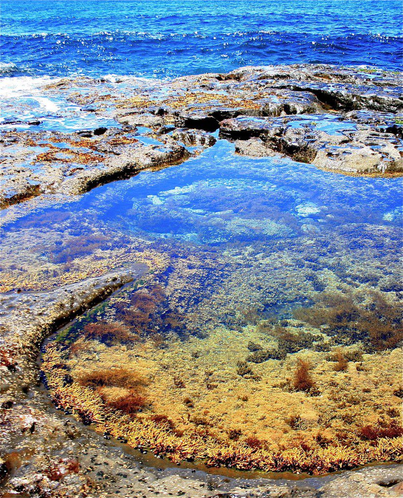 Australian tidal pool