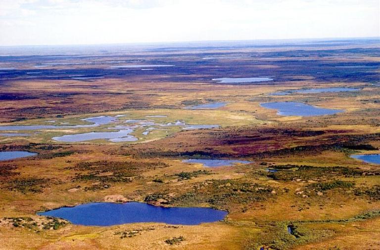 A view of the Siberian tundra
