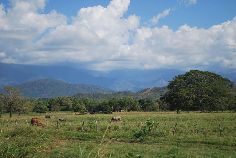 Chiapas landscape