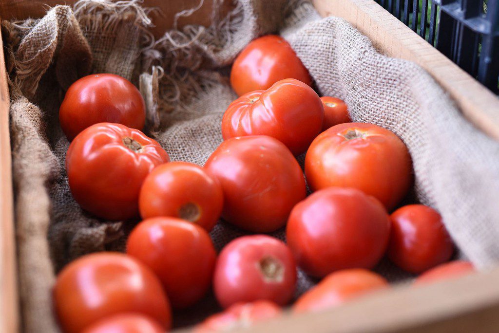 Bright red tomatoes.