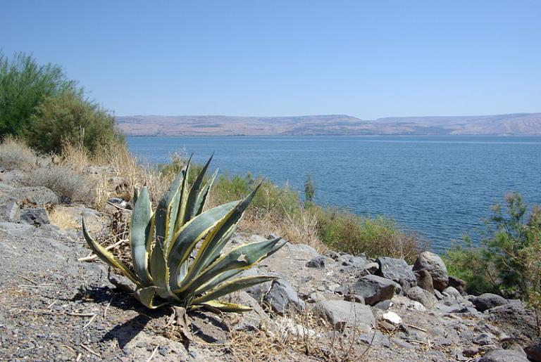 Capernaum view of Kinneret
