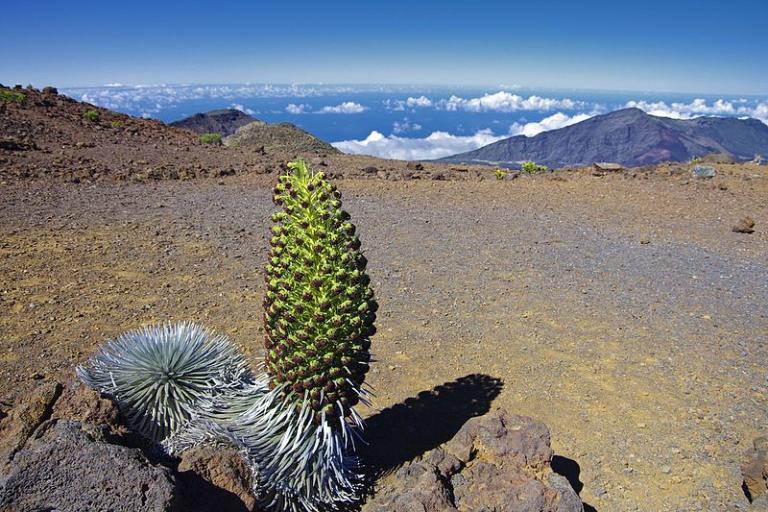 Atop Haleakala