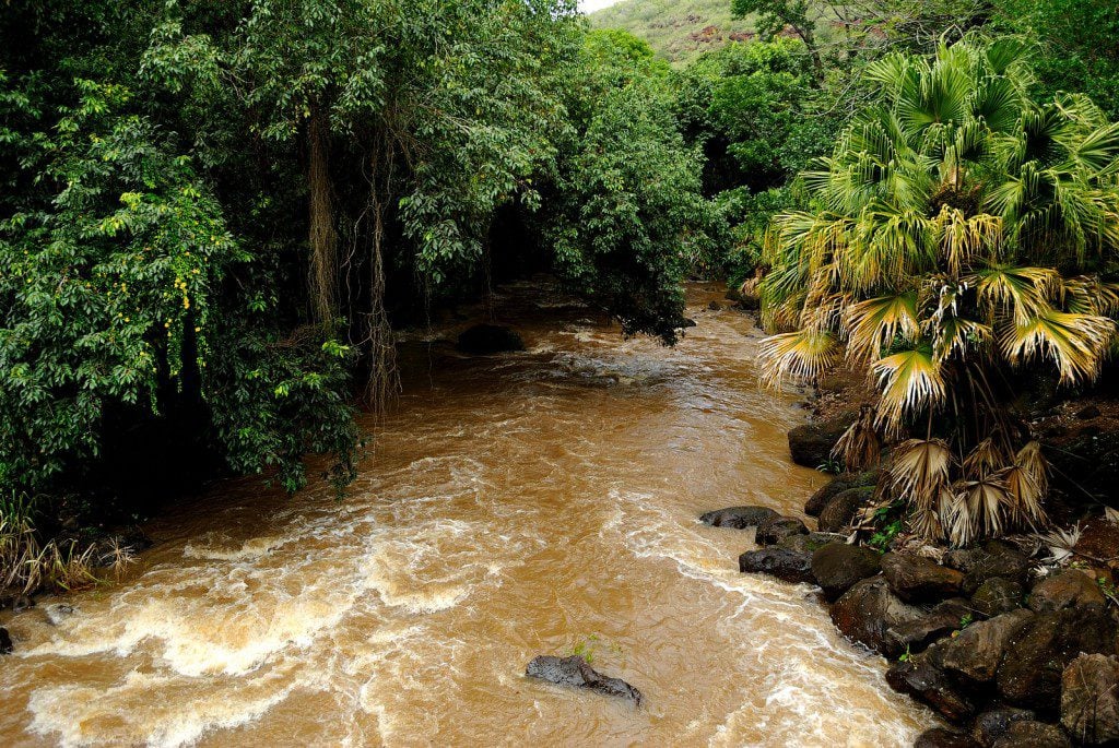 Kamananui Stream, Waimea, Oahu, Hawaii, USA