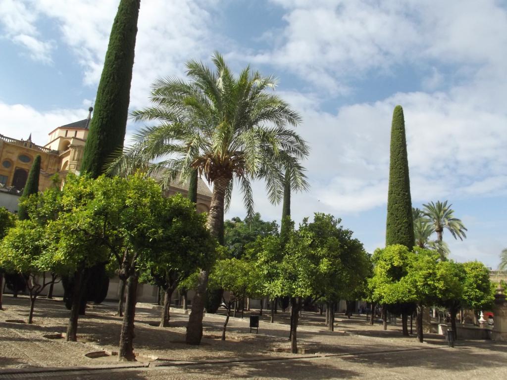 Oranges in Spain