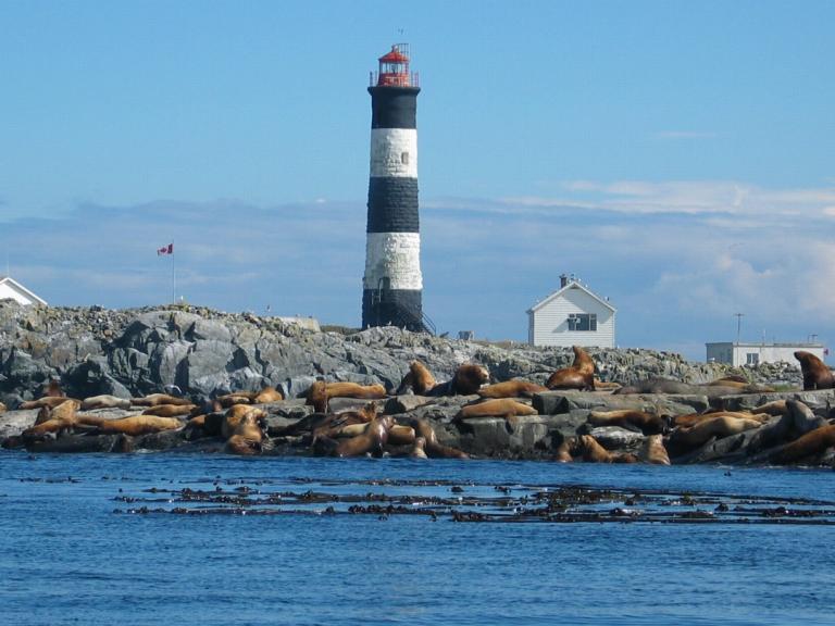 Race Rocks lighthouse