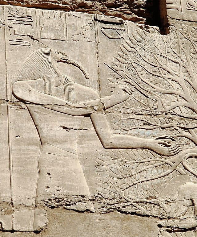 Thoth at Karnak