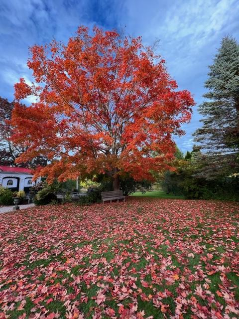 Fall comes to Kennebunkport!
