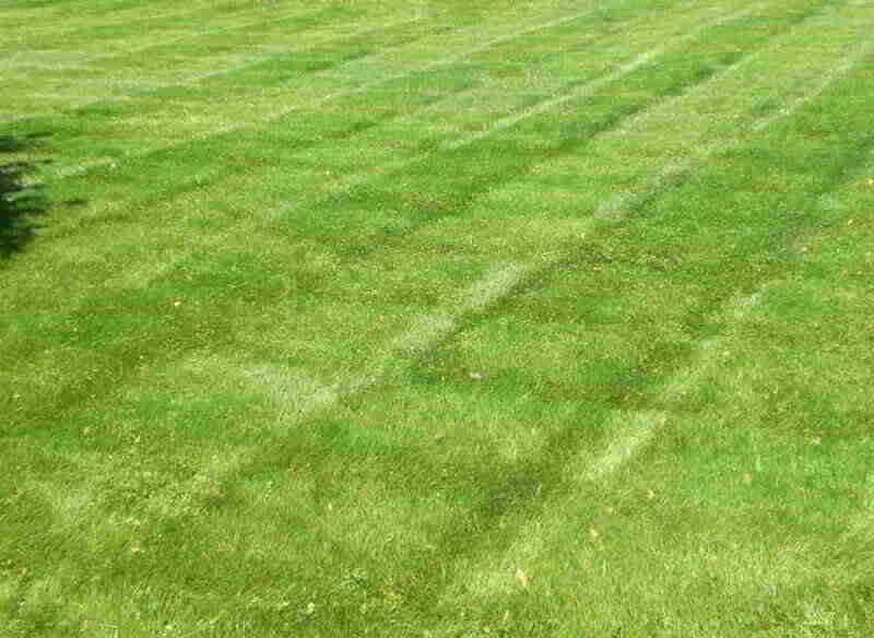 lawn in lieu of temple