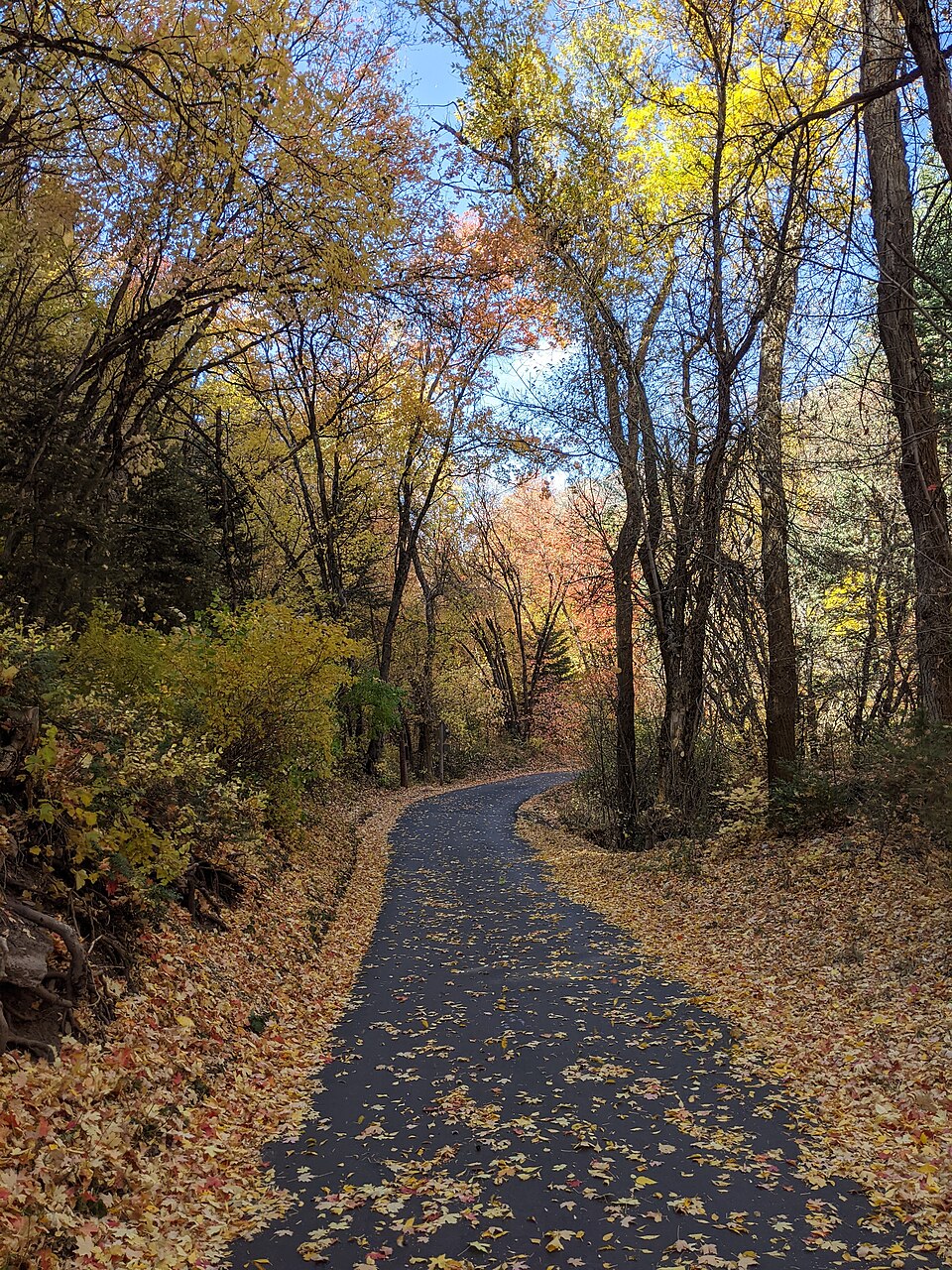 It's really narrow. Yes, indeed.