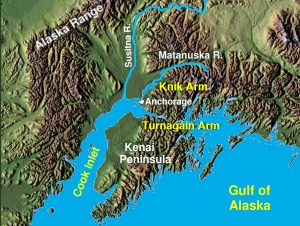 Cook Inlet forks. a8978ygstvgoahipjo;is