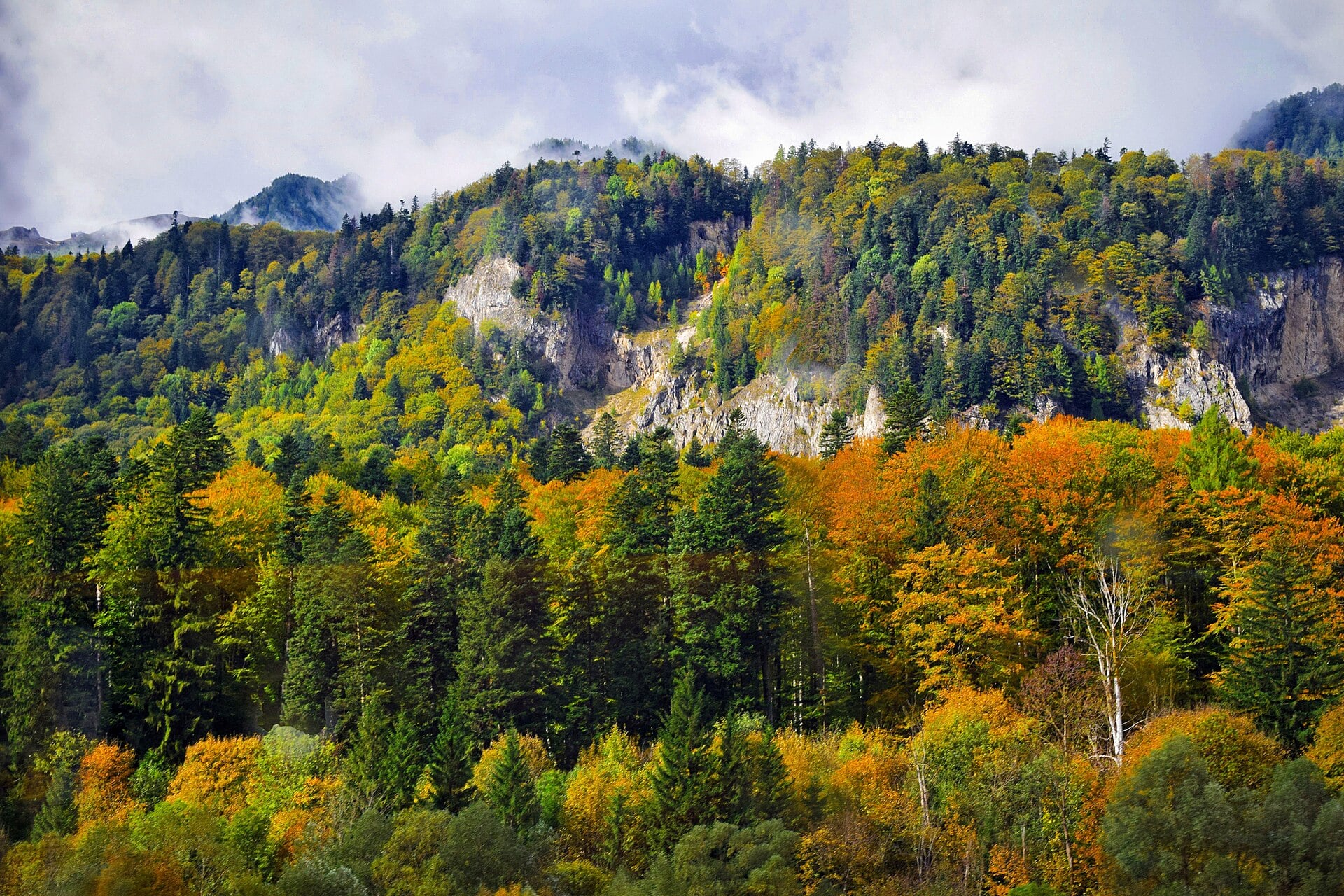 A Bucegi mtn scene