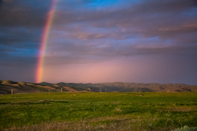 Rainbow in green field