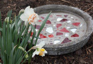 Shallow is for bird baths, not souls..