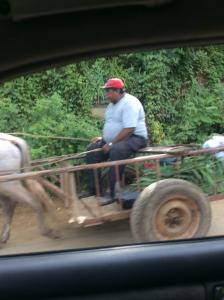 A farmer with his cart near the border between Nicaragua and El Salvador