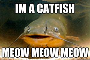 meme catfishing catfish meow memes quickmeme roles solomon larry biblical gender funny random im