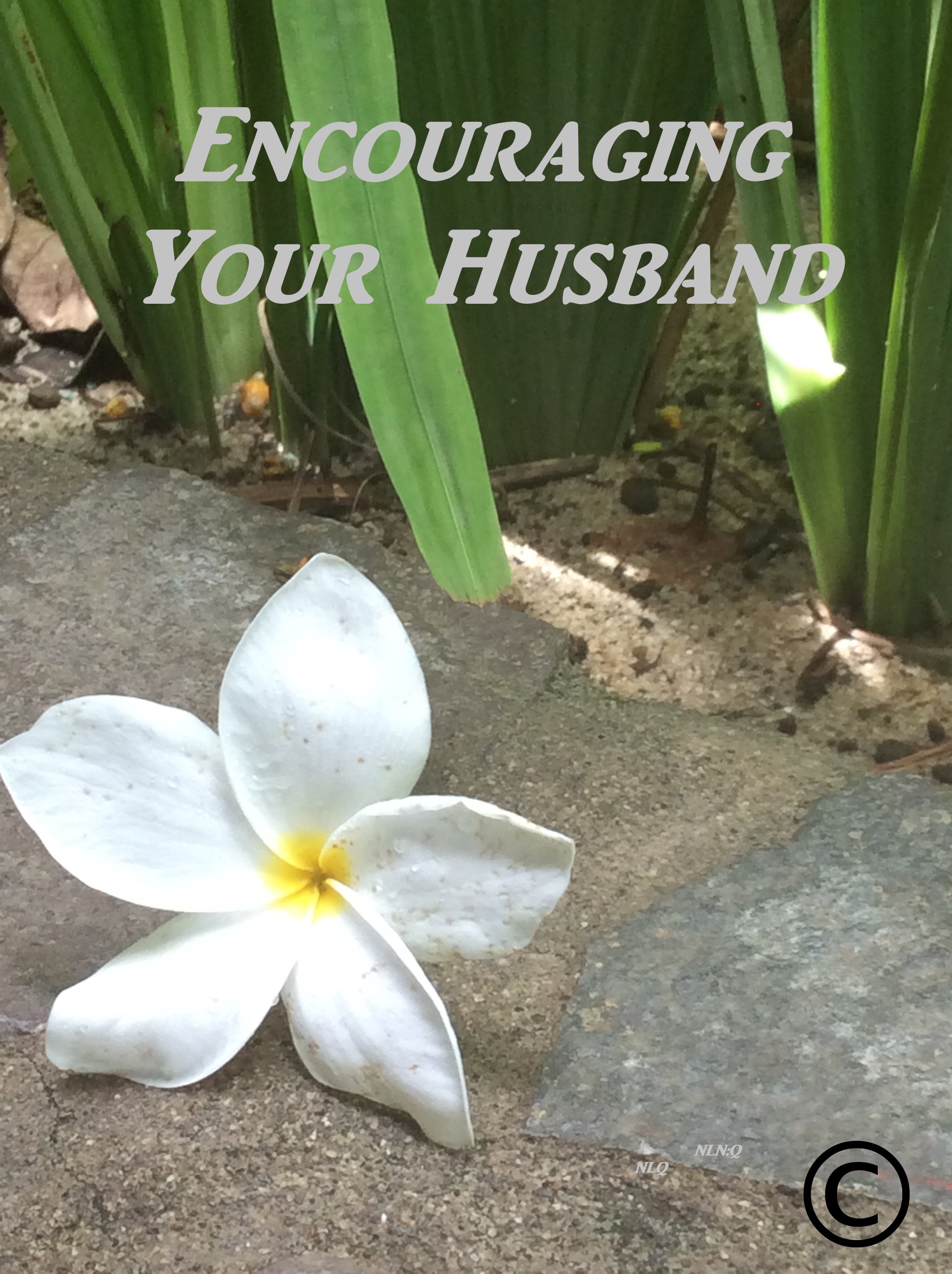 Encouraging Your Husband photo