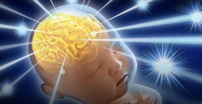 What Causes Under Developed Hormone Part of Baby Brain?
