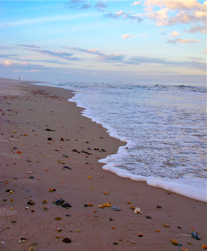 shell strewn beach 