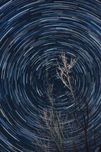 Circular waves around a tree at midnight