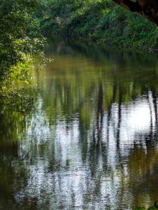Photo of a river