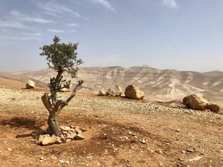 A photo of a Palestine landscape