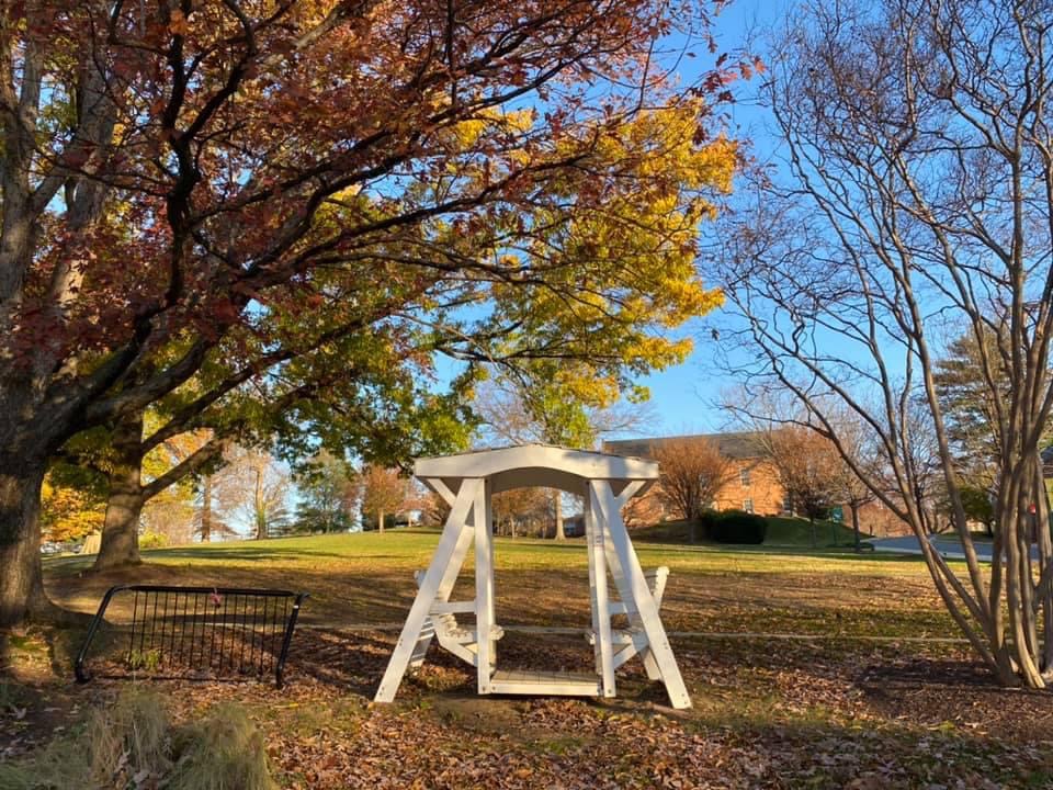 A double swing in a Fall setting.
