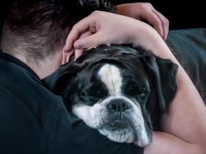 Person hugging dog