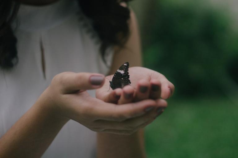 Gentleness: Whatever Happened to It? - Vimarsana News