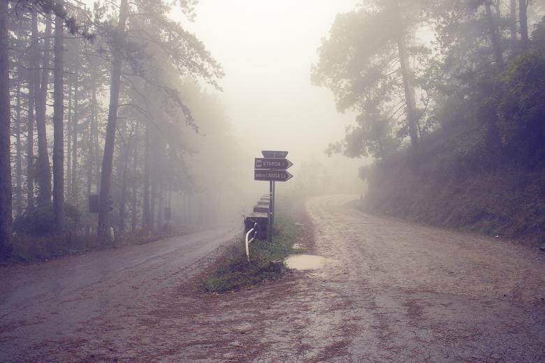 Foggy Crossroads
