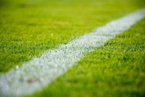 Green Grass with white line dividing sides.