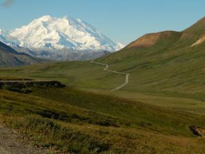 Denali National Park - Denail Mountain