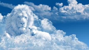 Lion and lamb in the clouds